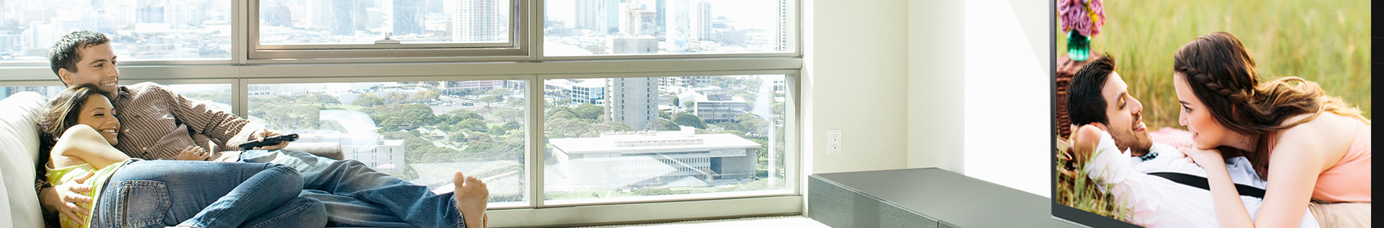 SMA-TV System for Hotels, Business, Towers